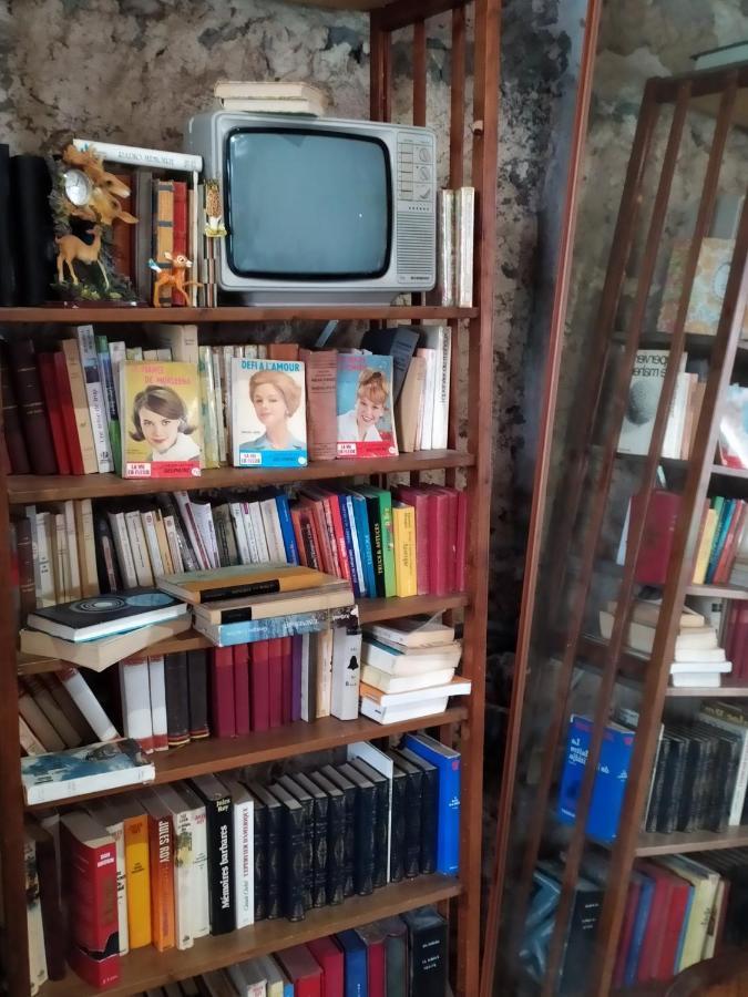 L'Heureux Bazar Villa Saint-Nectaire Bagian luar foto