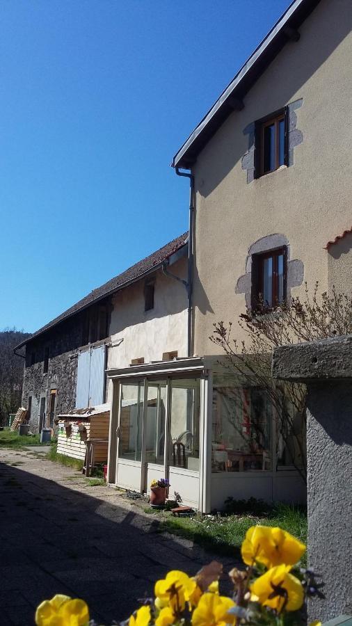 L'Heureux Bazar Villa Saint-Nectaire Bagian luar foto
