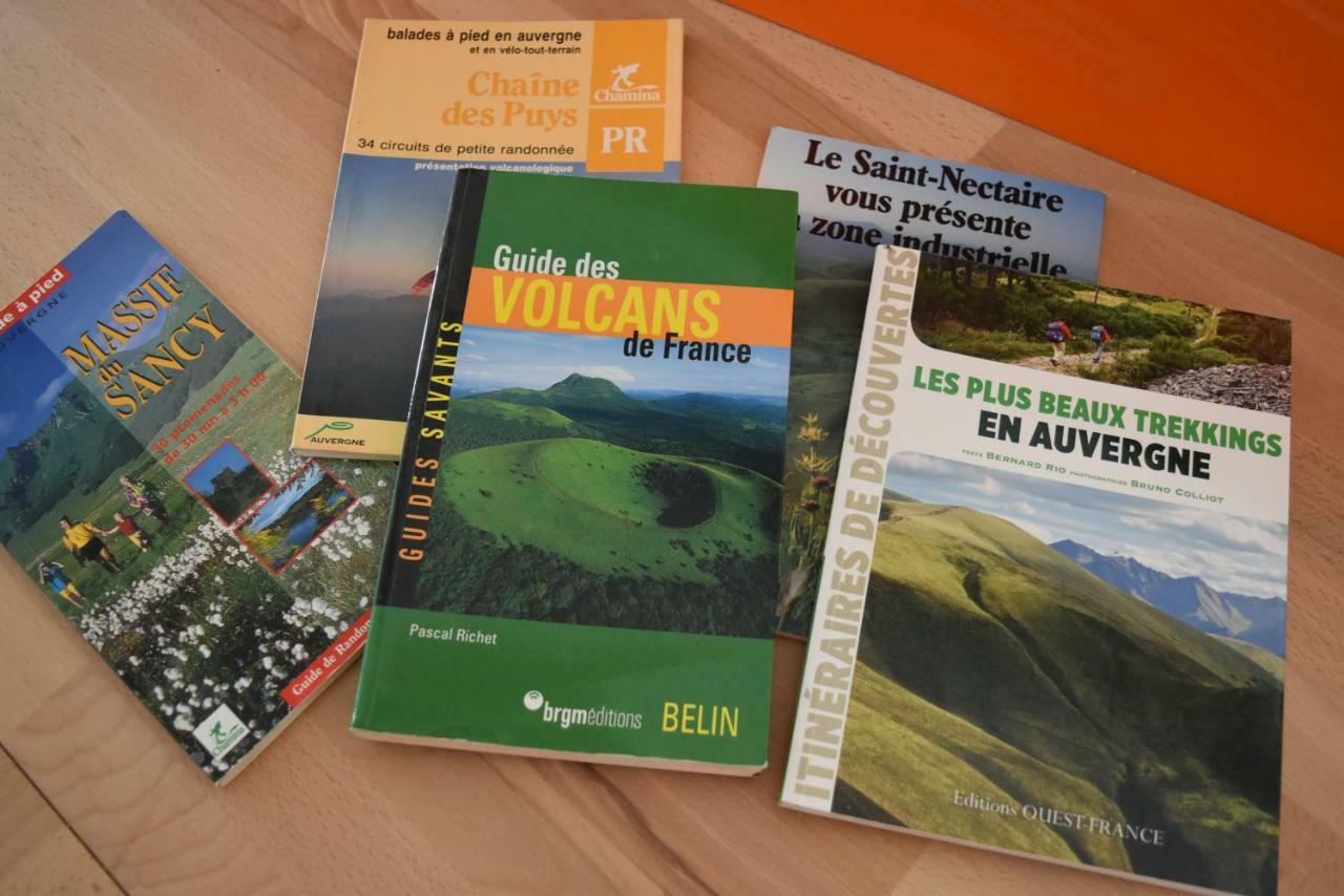 L'Heureux Bazar Villa Saint-Nectaire Bagian luar foto